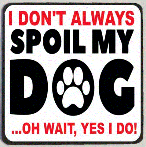 M164 Spoil My Dog Funny Magnet