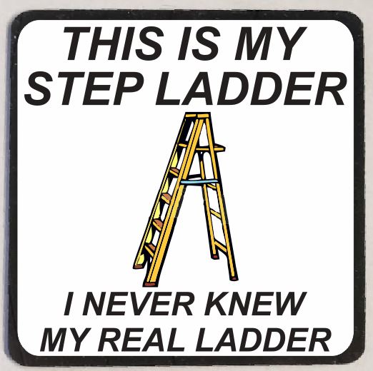 M91 My Step Ladder Funny Magnet