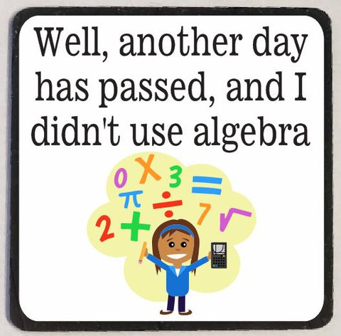 M69 Didn't Use Algebra Funny Magnet