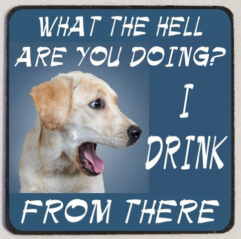 M73 I Drink From There Funny Magnet