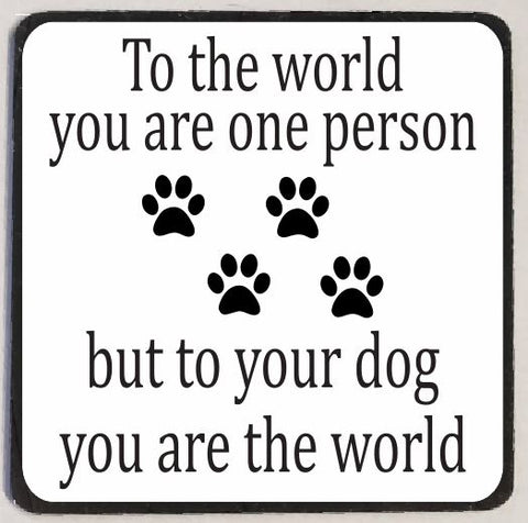 M78 You Are The World Funny Magnet