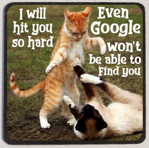 M75 I Will Hit You Funny Magnet