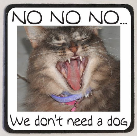 M104 Don't Need A Dog Funny Magnet