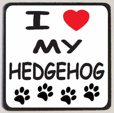 M140 I Love My Hedgehog Magnet