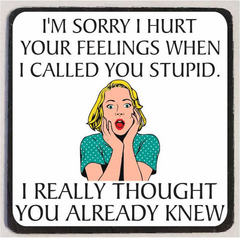 M29 Sorry I Called You Stupid Funny Magnet