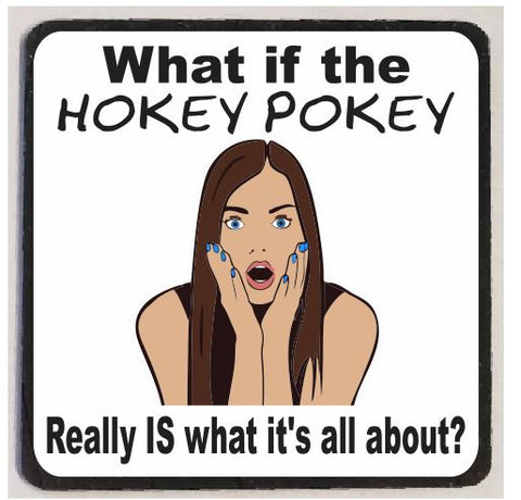 M23 The Hokey Pokey Funny Magnet