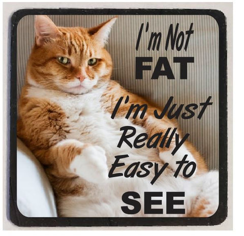 M15 Fat Cat Funny Magnet